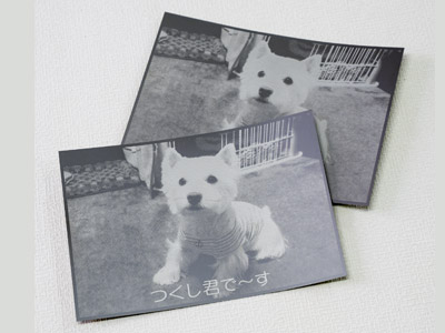 写真の加工