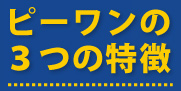 ピーワンの3つの特徴